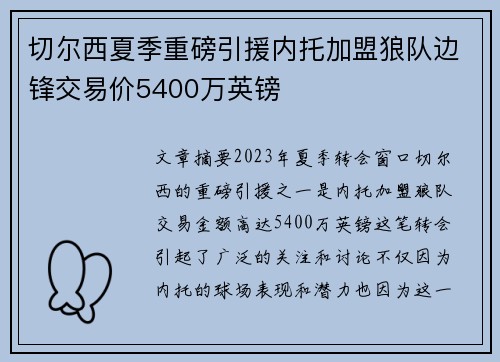 切尔西夏季重磅引援内托加盟狼队边锋交易价5400万英镑